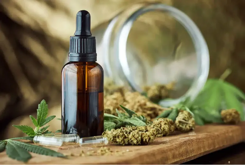 CBD OIL CBD OIL