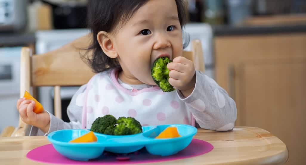 Vegan Baby Vegan Baby