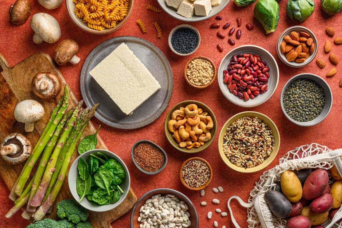 Vegan Proteins Vegan Protein