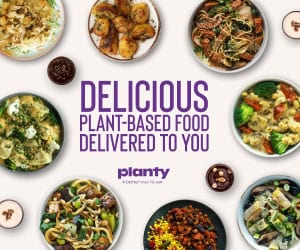 planty 1 vegan meal delivery