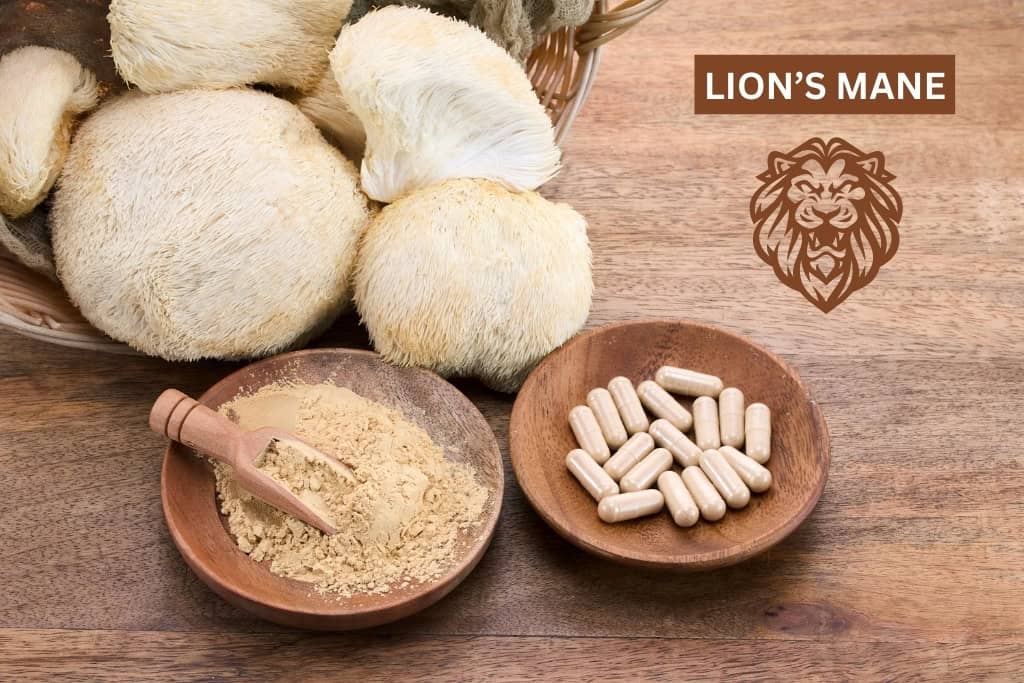 Lion's mane vegan supplements